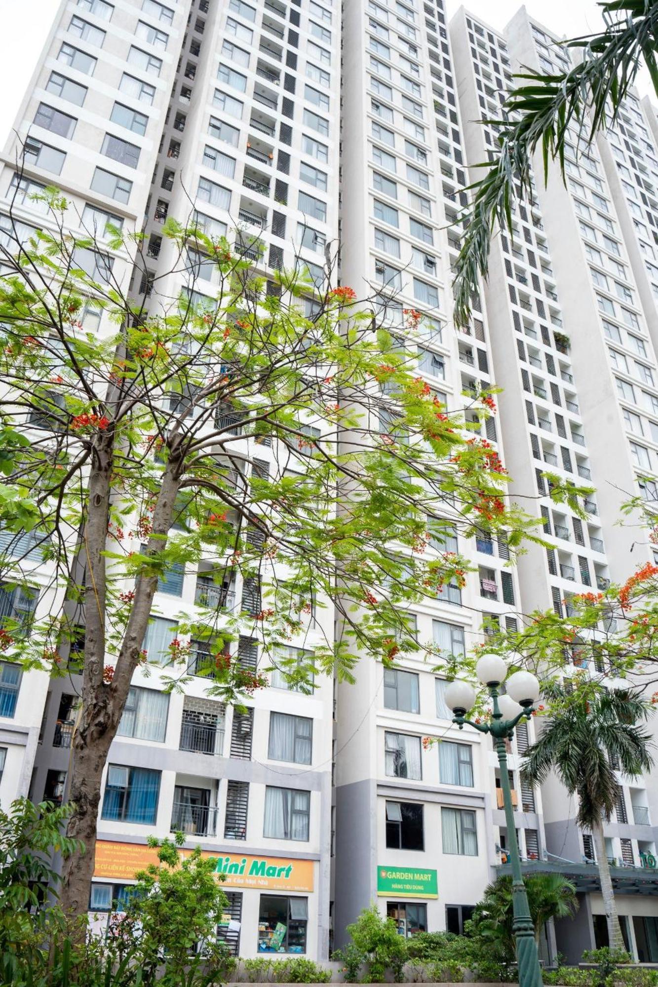 By'S House- Can Ho View Bien 下龍 外观 照片